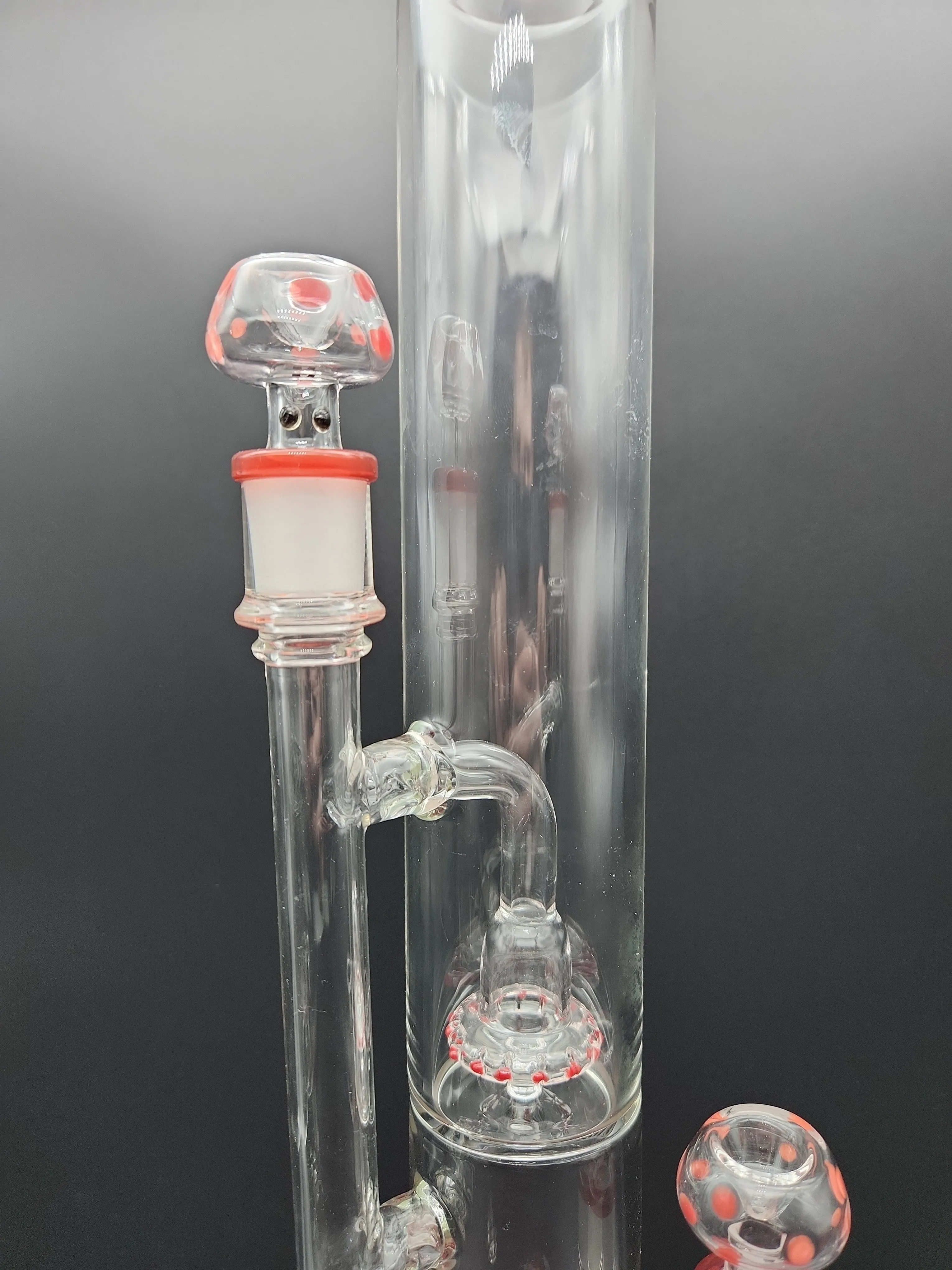 Dub Fungi Straight Tube Water Pipe | 17 | 14mm