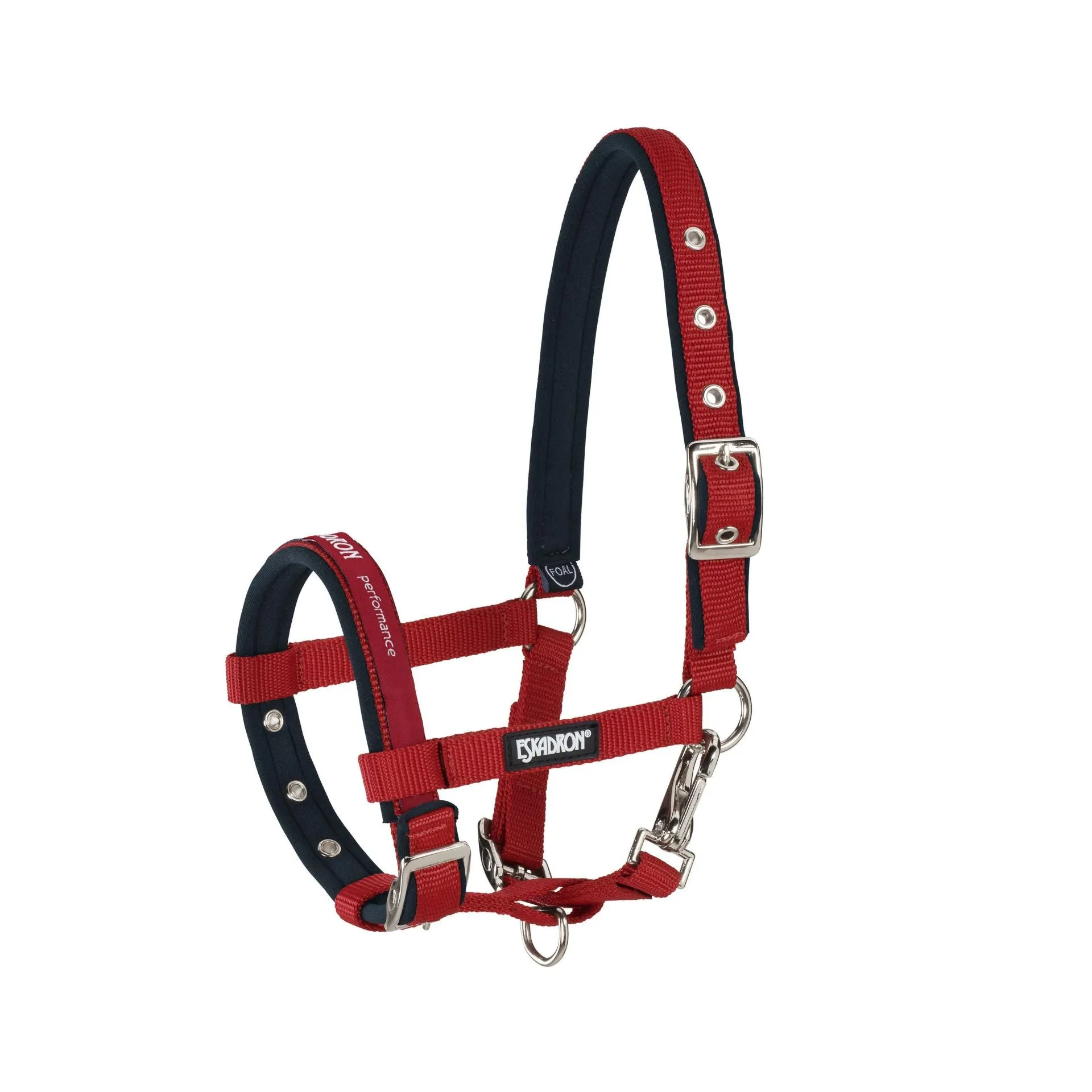 Eskadron Foal Head Collar