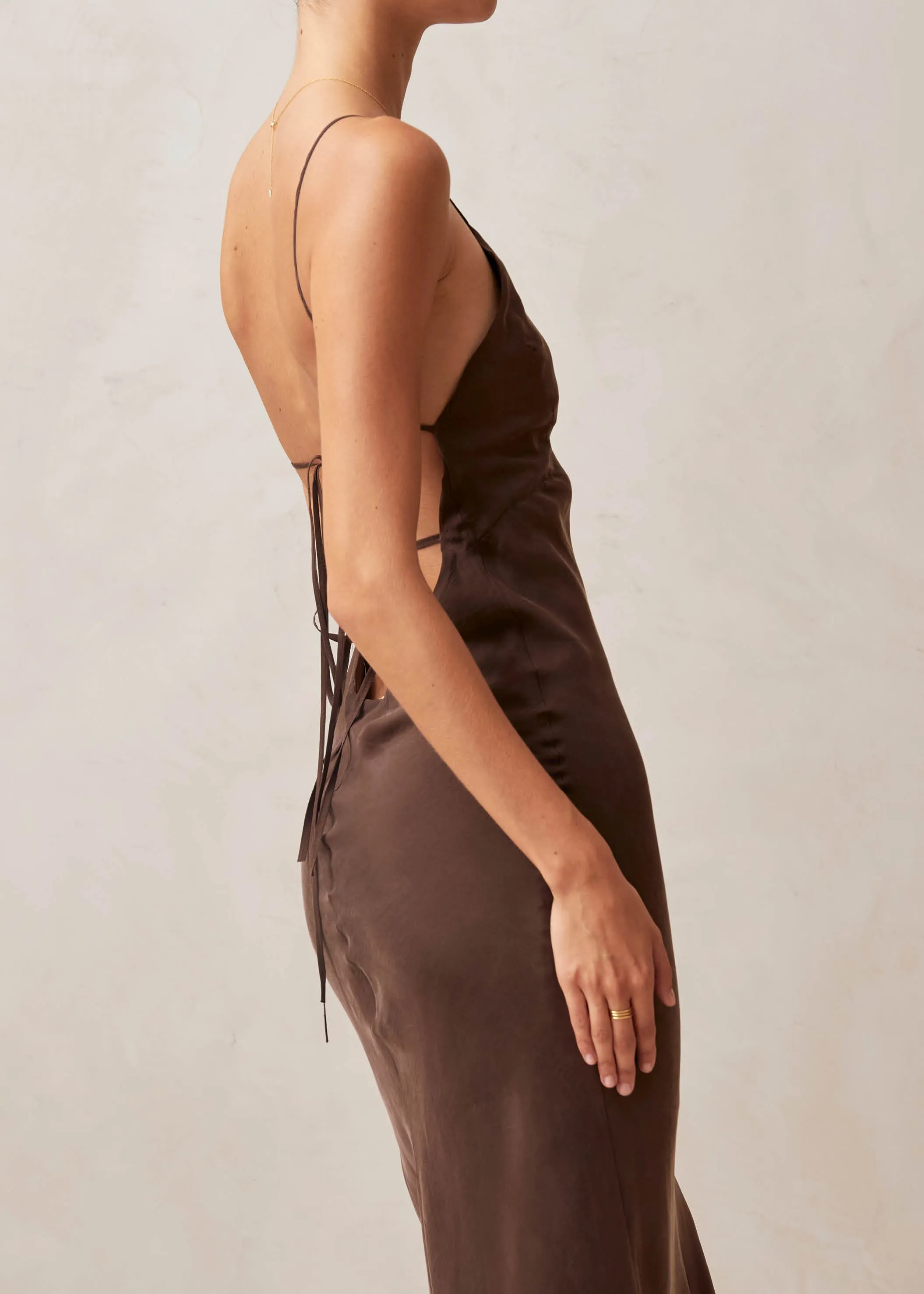 Island Brown Midi Dress