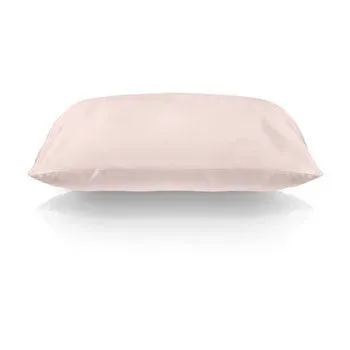 SLIP Silk Pillow Case